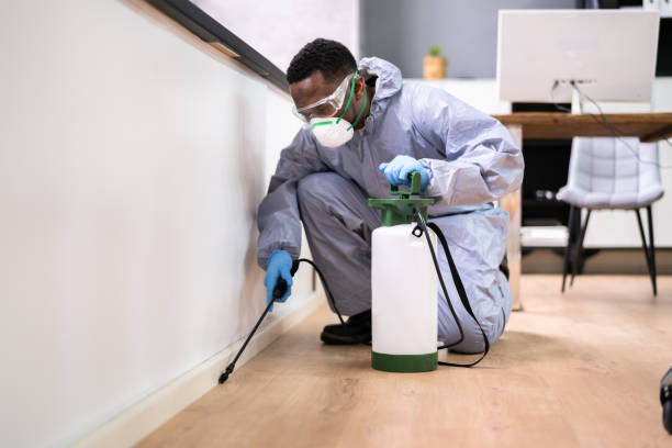 Best Residential Pest Control  in Hazlehurst, MS